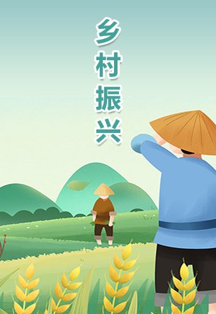 开运体育官方入口VI